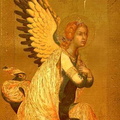 Angel16